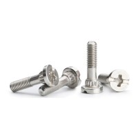 Customized Stainless Steel 304 Phillips Slotted Shoulder Special Screws