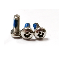 customized nonstandard torx stainless steel Anti-theft screw